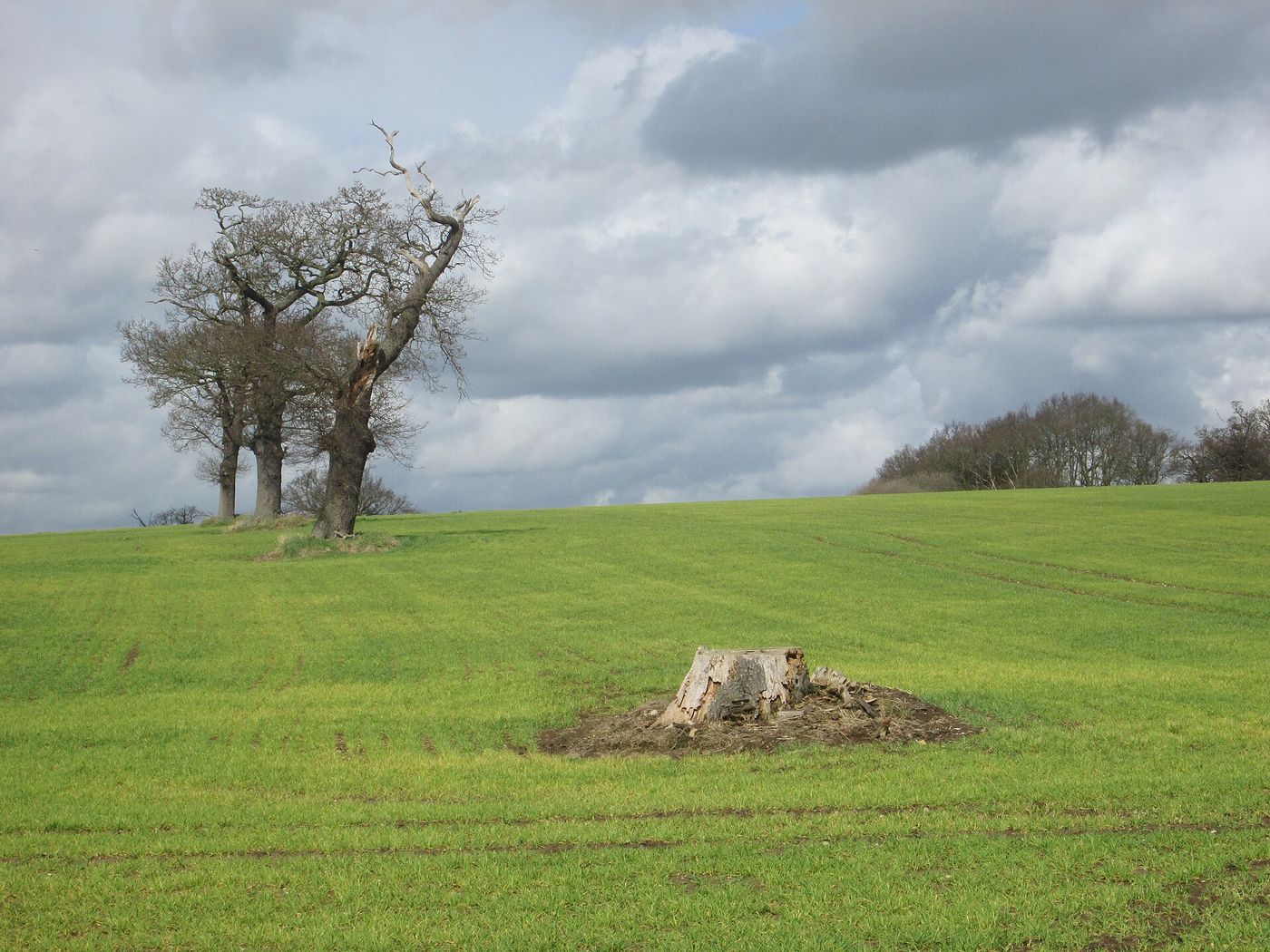 Farmland in the English countryside.