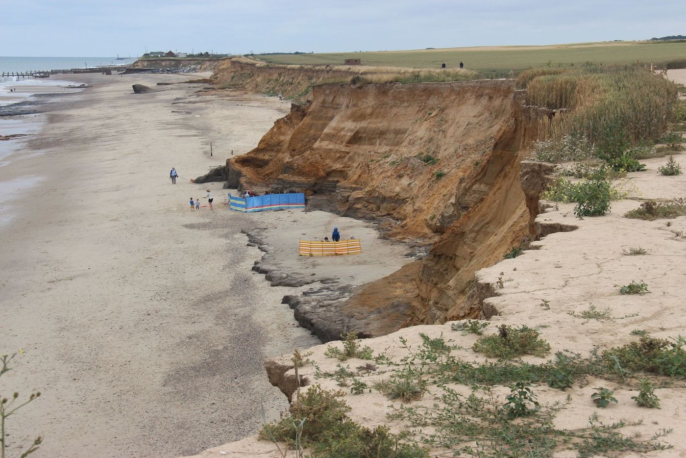 The eroding cliffs at Happisburgh on the north Norfolk coast.