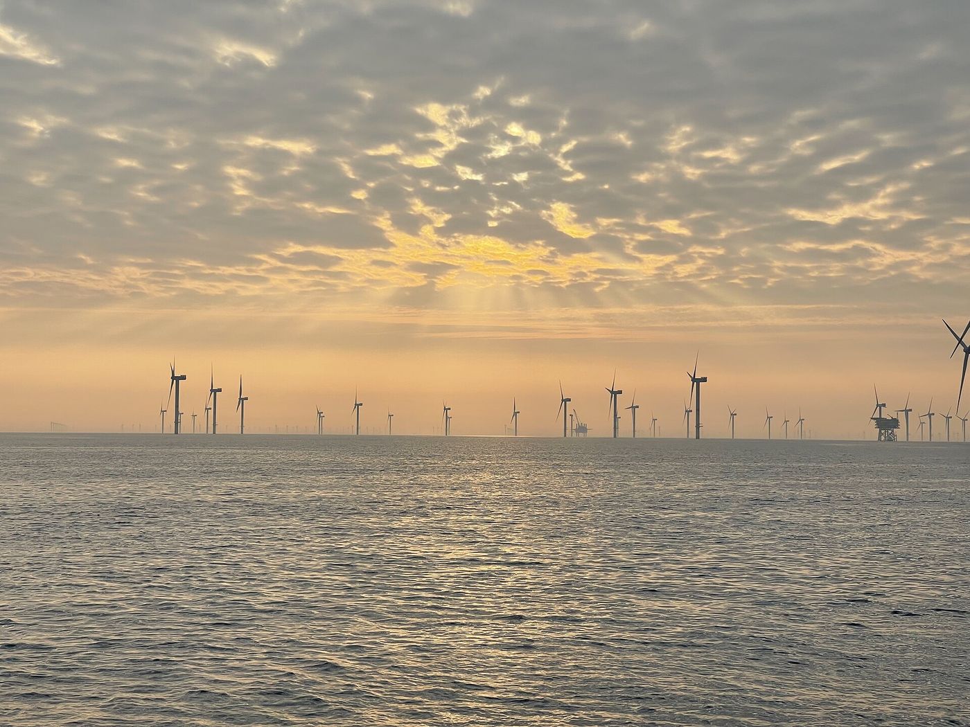 An offshore wind farm in the North Sea at dusk.